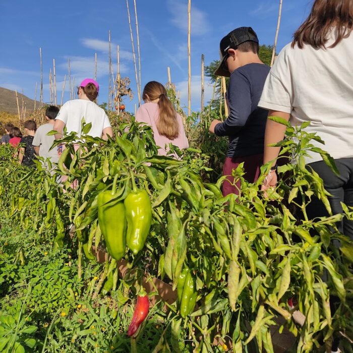 314942244 1574955439590668 7132901668895326214 n