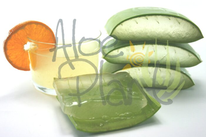 81031569 127410335409429 1155067420591783936 n