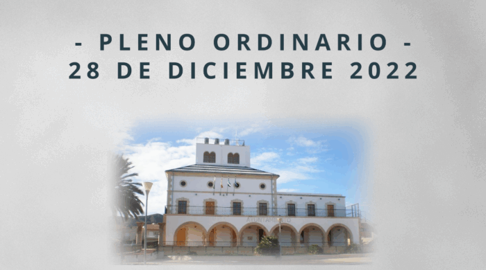 Miniatura Pleno Ordinario 28 de Diciembre 2022