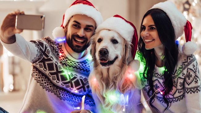 como-cuidar-mascota-navidad-5-consejos-debes-tener-en-cuenta-873147