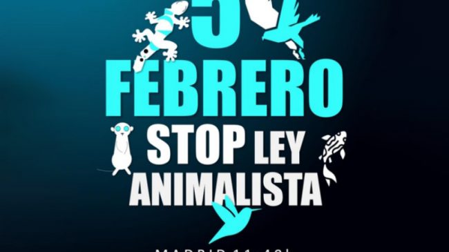 5-febrero