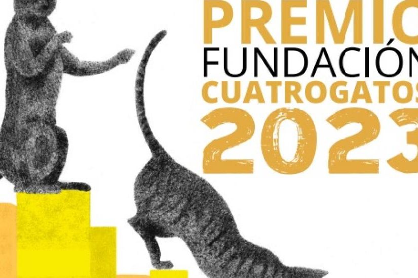 Pagina Zero – cuatro gatos