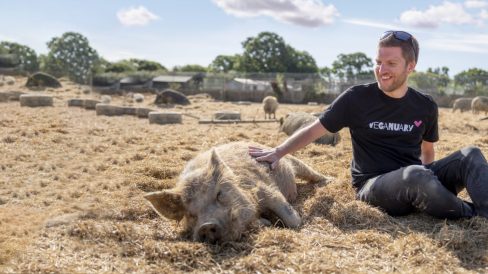 veganuary-Header-4-1800×852