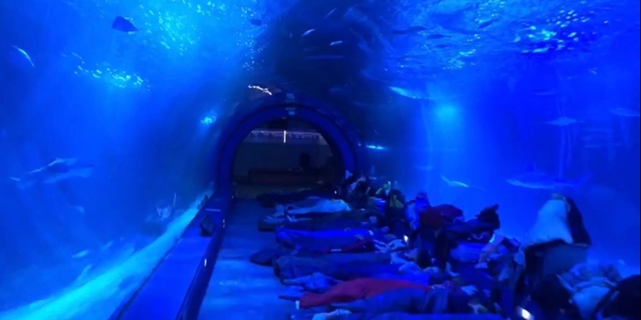 durmiendo con tiburones carlos iii