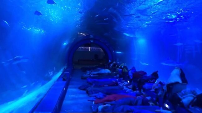 durmiendo con tiburones carlos iii