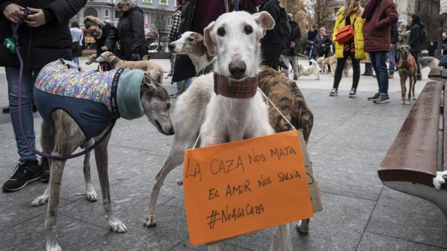 ley-proteccion-animal