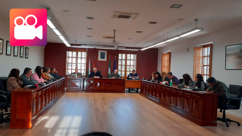 pleno 2023-03-06