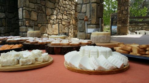 301231782 505897444868877 3398963773621170534 n (1)