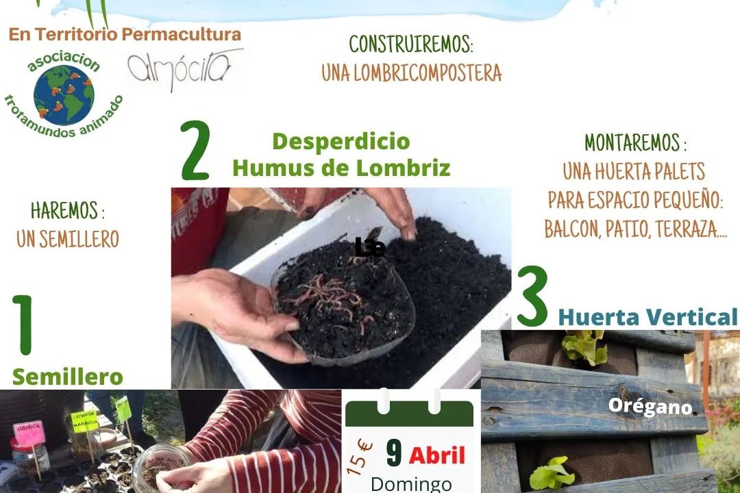 339326554 1277938086488773 6865864435727266809 n