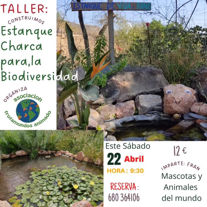 342204014 3426959870854327 2928169067171711442 n