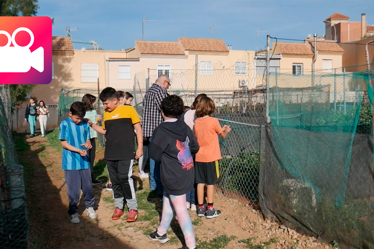 foto video huerto urbano