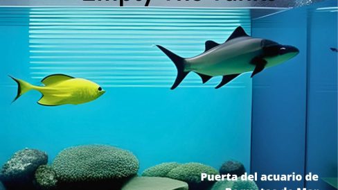4838de58-40a2-42f2-9c29-89c0fa26d5c9
