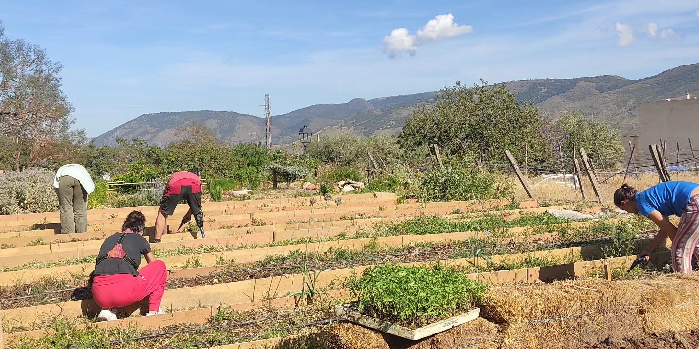 TROTAMUNDOS TOMATERO