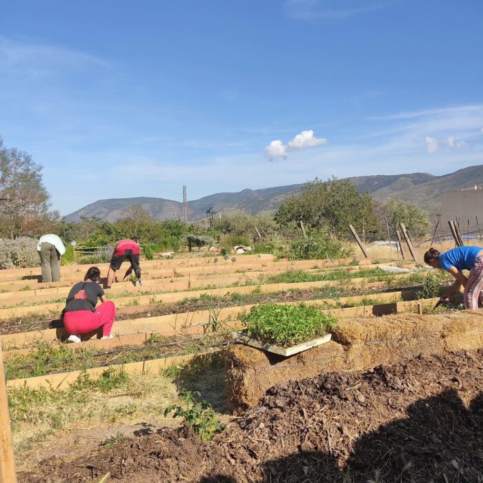 TROTAMUNDOS TOMATERO