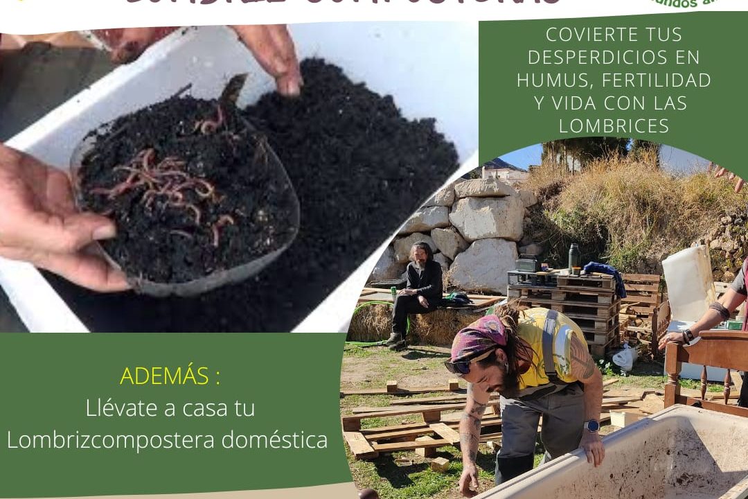 70068328-cf2d-4900-ba9f-d0ab1a51034e