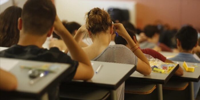 7b1dc37f-a1b0-4ff0-a81d-4e3423bb30bc alta-libre-aspect-ratio default 0-1200×600