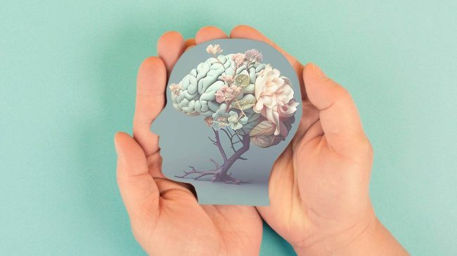 cerebr-flores