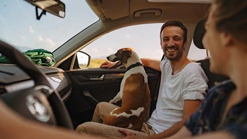 planes-perros-verano-3-viajar-coche-XxXx80