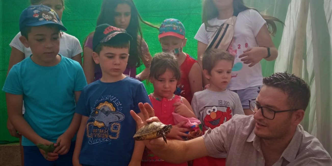 FRAN TORTUGA