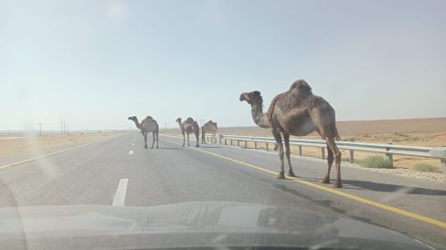 fc83051d-3680-411e-b2a7-2ed07c538ba8 (1)