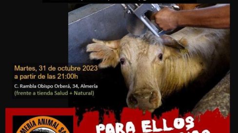 398126117 10159895430028931 6129842264153482867 n