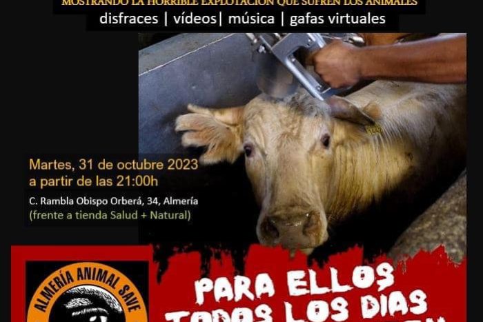 398126117 10159895430028931 6129842264153482867 n