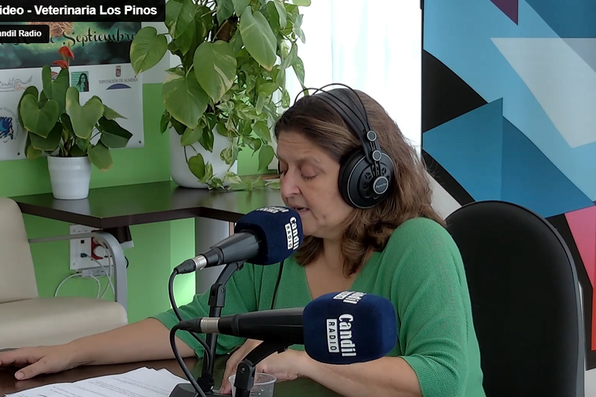 Los Pinos Veterinaria Los Pinos Veterinaria-