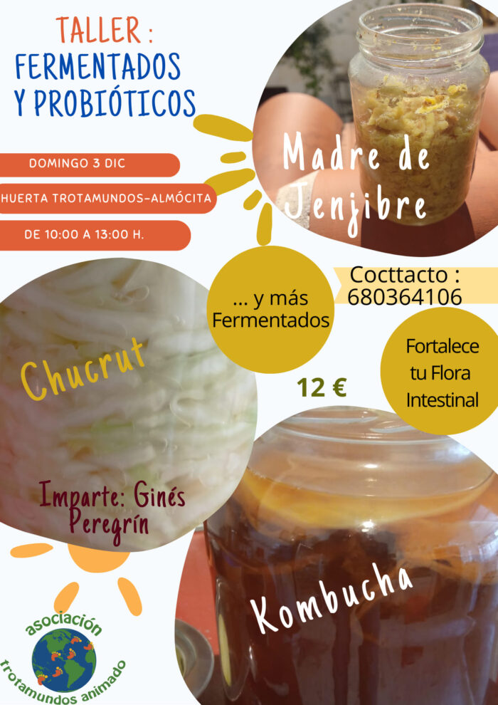 406041739 1808833256202884 2293509348226736300 n