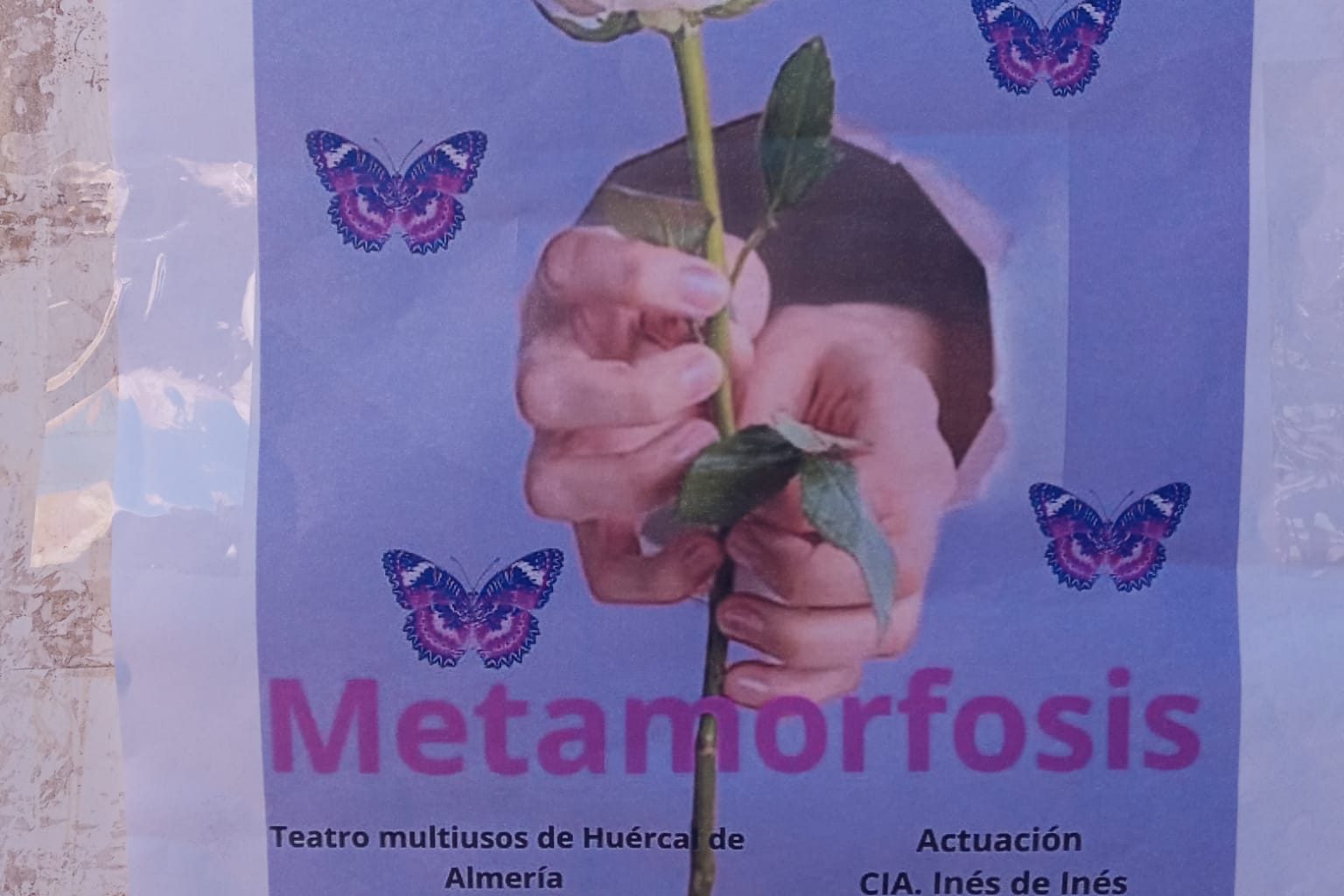 68c4b587-075d-4c91-9b2a-04d2485c253c