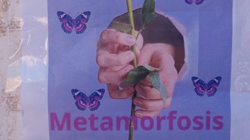 68c4b587-075d-4c91-9b2a-04d2485c253c