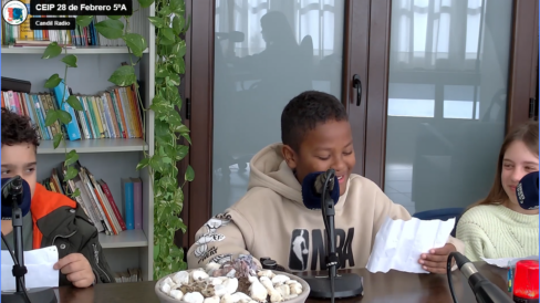 Ceip 28 de febrero 2023-11-28