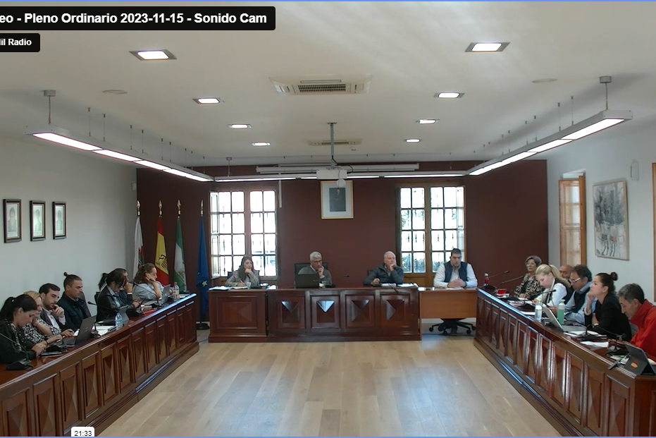Pleno ordinario 2023-11-15
