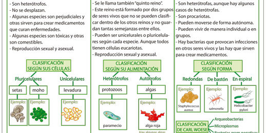 Clasificación de los seres vivos Clasificación de los seres vivos