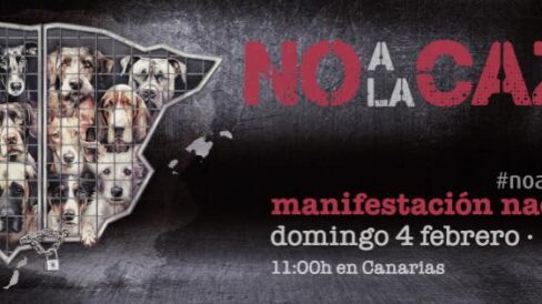 410102606 762403385926756 8455840245824286759 n