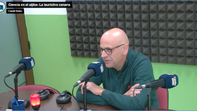 Ciencia en el aljibe- La laurisilva canaria