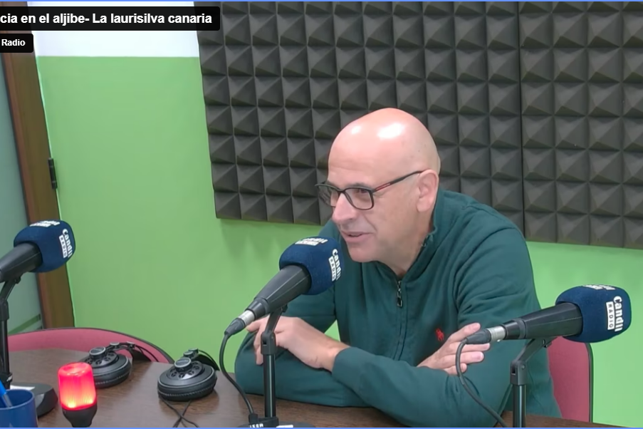 Ciencia Aljibe – Laurisilva Ciencia en el aljibe- La laurisilva canaria
