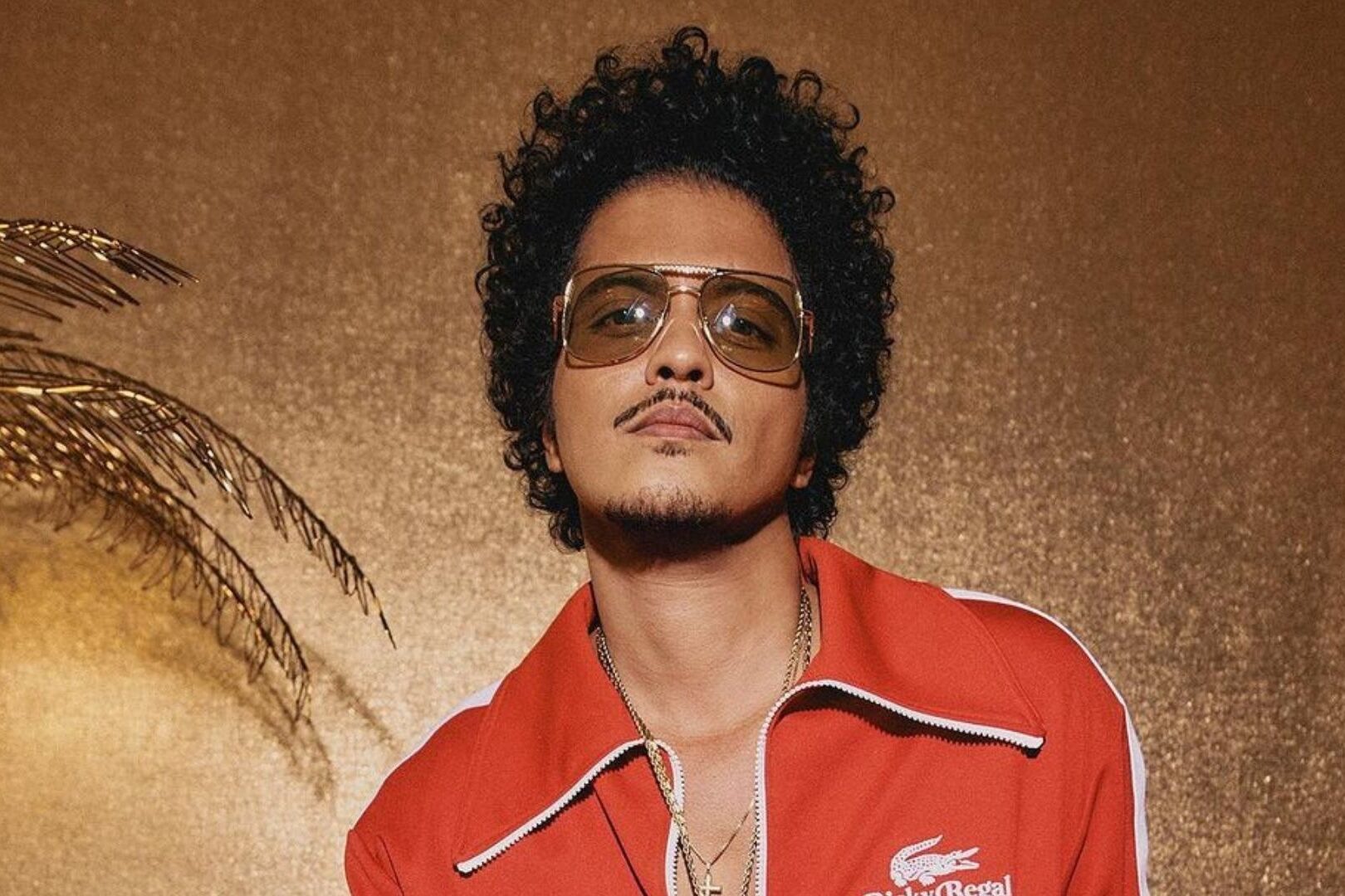 Aunque ahora puede presumir de haberse consagrado como uno de los artistas más exitosos de la escena musical contemporánea, Bruno Mars reconoce abiertamente que su camino hacia el estrellato se vio plagado de dificultades, entre otras razones, por la confusión que existía entre los directivos de algunos sellos discográficos en torno a su origen étnico y cultural. Dichas dudas han sido claramente disipadas gracias al talento y originalidad de un artista que ha sabido, como nadie, homenajear a sus ídolos, vivir de la fusión de estilos y crear auténticas obras maestras musicales.