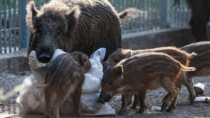 gettyimages-1401713977