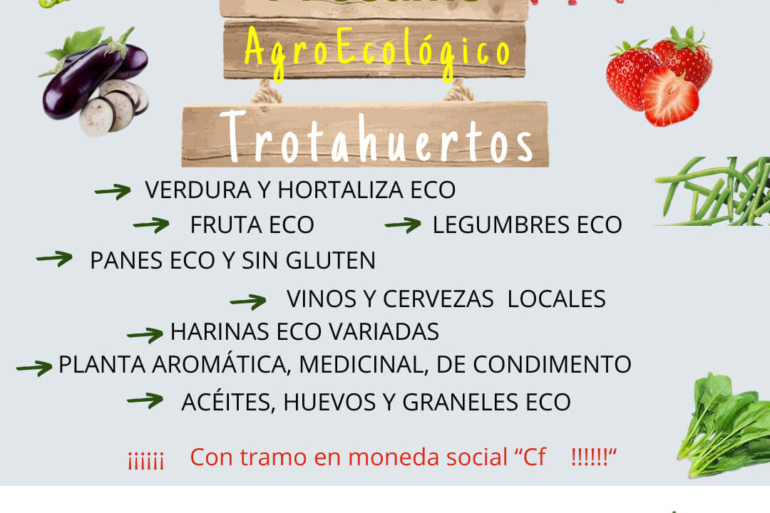 425818238 1851706448582231 6455444561411304808 n