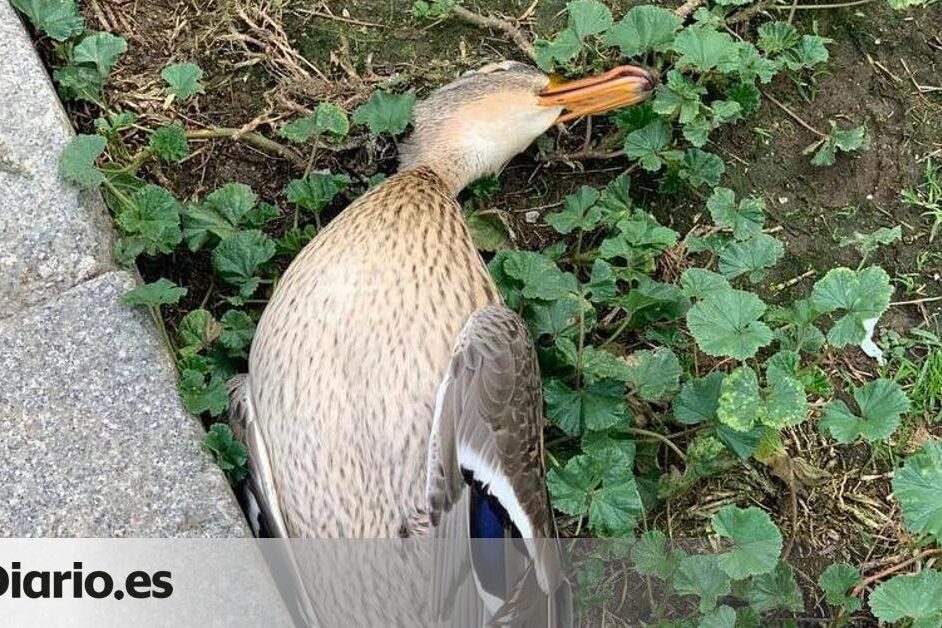 56bad07d-9ecb-4a24-a1b3-d41bfbfe399c facebook-watermarked-aspect-ratio default 1090088