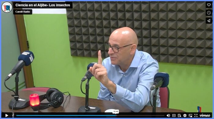 Ciencias aljibe- Las hormigas