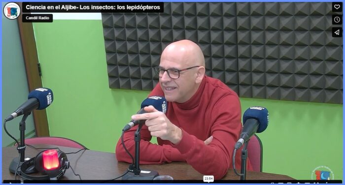 Ciencia en el Aljibe- Los insectos: los lepidópteros