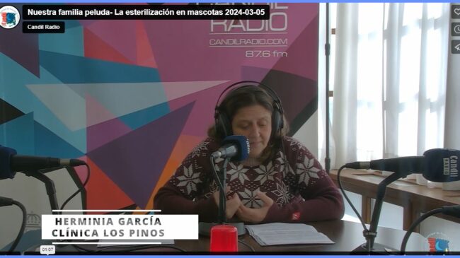 El capítulo VII del nuevo marco legal establece la gestión de poblaciones felinas en libertad, colonias con origen en gatos abandonados, extraviados o merodeadores sin esterilizar y de las camadas procedentes de éstos. Y en él se especifica la obligatoriedad de esterilizar a todos los felinos con hogar. Así, los propietarios de gatos tendrán que identificar con microchip y esterilizar quirúrgicamente a todos sus animales antes de los seis meses de edad con la salvedad de los que estén inscritos en el registro de identificación como reproductores y a nombre de un criador registrado en el Registro de Criadores de animales de compañía. Asimismo, se procederá a la identificación y esterilización de todos los gatos comunitarios, es decir aquellos que gatos libres que conviven en entornos humanos y que no son adoptables por su falta de socialización.