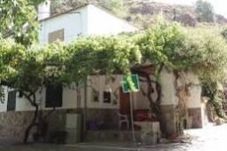 cortijos Hoy nos adentramos en los cortijos de Laujar de Andarax, auténticos testigos del tiempo. Algunos de estos cortijos datan de cien, doscientos e incluso trescientos años atrás. Conservan aljibes, eras, bancales y pozos con cúpulas que posiblemente remontan a la época musulmana. Todo este legado se encuentra aquí, en nuestra sierra y en nuestro pueblo. El Camarilla, David Capel y El Espigador son como una mina de oro que nos revela los secretos de nuestro patrimonio y nos transporta a nuestra vida pasada. Además, podríamos agregar un segmento especial sobre la importancia histórica y cultural de los cortijos en la región, destacando su relevancia como parte integral de nuestra identidad local.