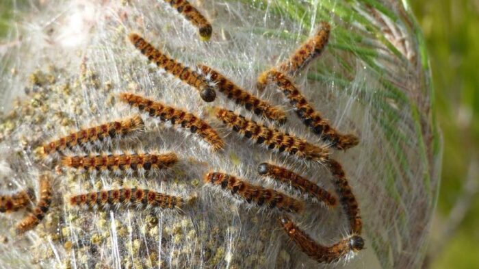 65cb77d878543.r d.640-480-9375