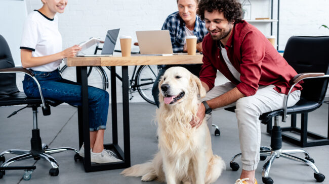 Perro+en+el+trabajo