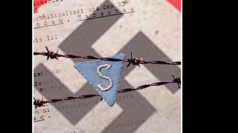 rotspanienkampfer-scaled