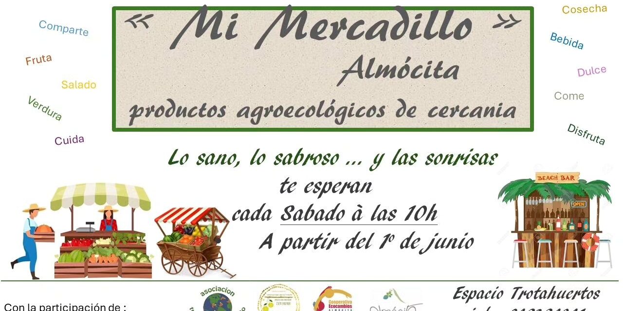 444782871 1919674618452080 2415473738258236785 n