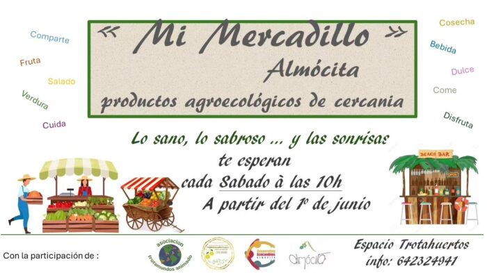 444782871 1919674618452080 2415473738258236785 n