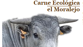 EL-MORALEJO